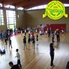 Festa_Primav_2011_volley